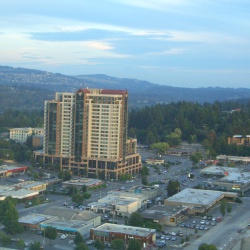 2006
