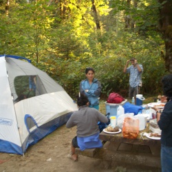 2006