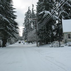 2008